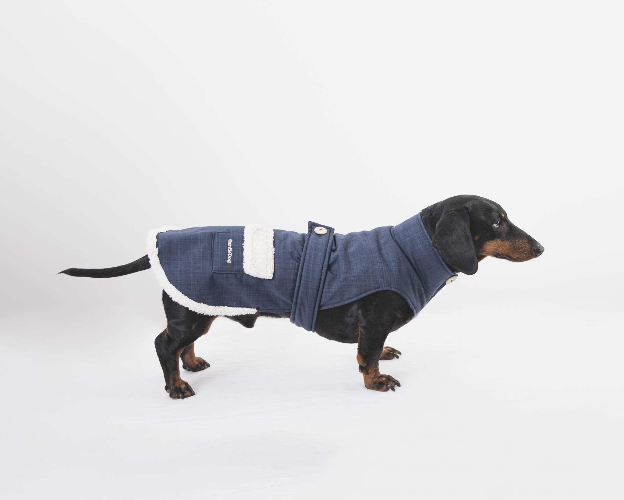 Impermeable teckel online